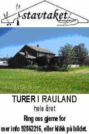 Advertisement