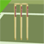 NP Cricket