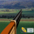 Skeet Shooting