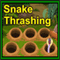 Snake Thrashing